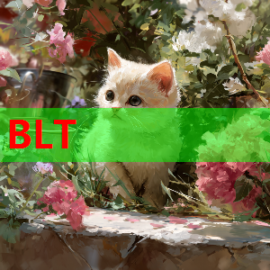 被授予澳大利亚勋章，尼尔