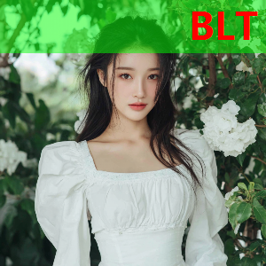 河北保定：2025年“莲超”，明天为您而来！