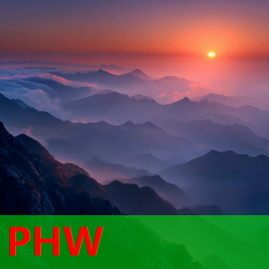 篮网官宣裁掉达里克·怀特黑德和德鲁·蒂姆