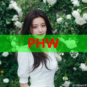 队记：火箭将提拔球员发展教练博斯蒂克 担任球队的助理教练