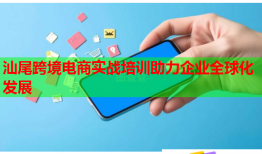 汕尾跨境電商實戰(zhàn)培訓(xùn)助力企業(yè)全球化發(fā)展