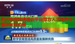 嘉興電商跨境培訓(xùn)平臺(tái)助力人才培養(yǎng)與國際貿(mào)易發(fā)展