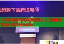 義烏跨境電商實戰(zhàn)培訓(xùn)班從入門到精通掌握全球貿(mào)易新機(jī)遇