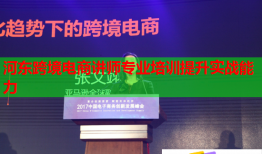 河?xùn)|跨境電商講師專業(yè)培訓(xùn)提升實(shí)戰(zhàn)能力