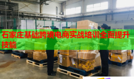 石家莊基礎(chǔ)跨境電商實(shí)戰(zhàn)培訓(xùn)全面提升技能