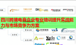 四川跨境電商企業(yè)專業(yè)培訓(xùn)提升實(shí)戰(zhàn)能力與市場(chǎng)競(jìng)爭(zhēng)力方案