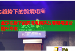 全球視野下的跨境電商實戰(zhàn)培訓(xùn)與運營提升方案