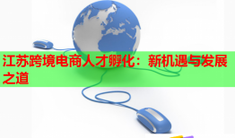 江蘇跨境電商人才孵化：新機(jī)遇與發(fā)展之道