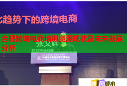 合肥跨境電商培訓(xùn)資源現(xiàn)狀及未來(lái)發(fā)展分析