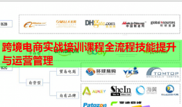 跨境電商實戰(zhàn)培訓課程全流程技能提升與運營管理