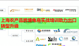 上海農(nóng)產(chǎn)品跨境電商實(shí)戰(zhàn)培訓(xùn)助力出口轉(zhuǎn)型升級(jí)