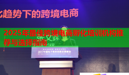 2025年最佳跨境電商孵化培訓(xùn)機(jī)構(gòu)推薦與選擇指南