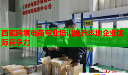 西藏跨境電商專業(yè)培訓(xùn)提升本地企業(yè)國際競爭力