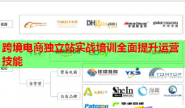 跨境電商獨(dú)立站實(shí)戰(zhàn)培訓(xùn)全面提升運(yùn)營(yíng)技能