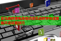 亞馬遜跨境電商培訓班實戰(zhàn)教學快速掌握開店運營技巧