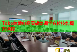 Toko跨境電商實(shí)戰(zhàn)培訓(xùn)全方位技能提升課程