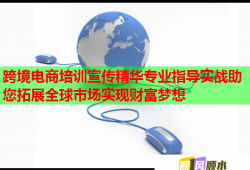 跨境電商培訓(xùn)宣傳精華專業(yè)指導(dǎo)實戰(zhàn)助您拓展全球市場實現(xiàn)財富夢想