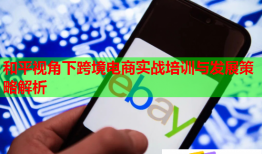 和平視角下跨境電商實戰(zhàn)培訓(xùn)與發(fā)展策略解析