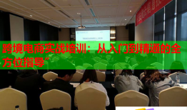 跨境電商實戰(zhàn)培訓:從入門到精通的全方位指導”