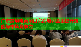 廣東跨境電商項目實戰(zhàn)培訓(xùn)全面提升技能與市場競爭力