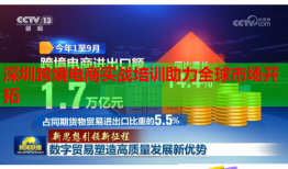 深圳跨境電商實(shí)戰(zhàn)培訓(xùn)助力全球市場開拓