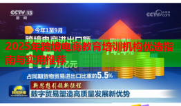 2025年跨境電商教育培訓(xùn)機(jī)構(gòu)優(yōu)選指南與實(shí)用推薦