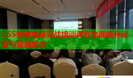CSS跨境電商實戰(zhàn)培訓課程全面提升運營與營銷能力