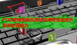 POD跨境電商實戰(zhàn)培訓(xùn)課程全面提升賣家運(yùn)營能力