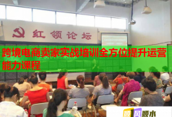 跨境電商賣家實戰(zhàn)培訓(xùn)全方位提升運營能力課程