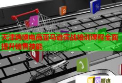 天津跨境電商亞馬遜實(shí)戰(zhàn)培訓(xùn)課程全面提升銷售技能