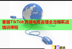掌握TikTok跨境電商直播全流程實(shí)戰(zhàn)培訓(xùn)課程