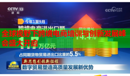 全球視野下跨境電商培訓與創(chuàng)新發(fā)展峰會盛大開啟