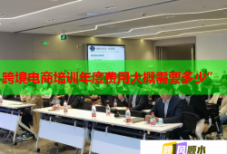 跨境電商培訓(xùn)年度費(fèi)用大概需要多少”