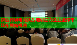 陜西跨境電商實(shí)戰(zhàn)培訓(xùn)助力企業(yè)全球市場(chǎng)拓展新機(jī)遇
