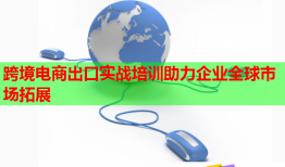 跨境電商出口實(shí)戰(zhàn)培訓(xùn)助力企業(yè)全球市場(chǎng)拓展