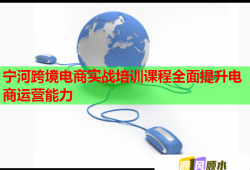 寧河跨境電商實(shí)戰(zhàn)培訓(xùn)課程全面提升電商運(yùn)營能力