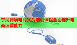寧河跨境電商實(shí)戰(zhàn)培訓(xùn)課程全面提升電商運(yùn)營(yíng)能力