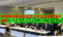 跨境電商實戰(zhàn)技能提升與企業(yè)發(fā)展培訓課程