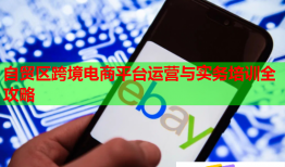 自貿(mào)區(qū)跨境電商平臺運營與實務(wù)培訓全攻略