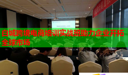 白城跨境電商培訓(xùn)實(shí)戰(zhàn)班助力企業(yè)開拓全球市場