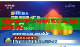 為什么選擇培訓(xùn)跨境電商成為職業(yè)發(fā)展的最佳路徑