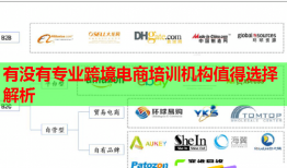 有沒有專業(yè)跨境電商培訓(xùn)機(jī)構(gòu)值得選擇解析