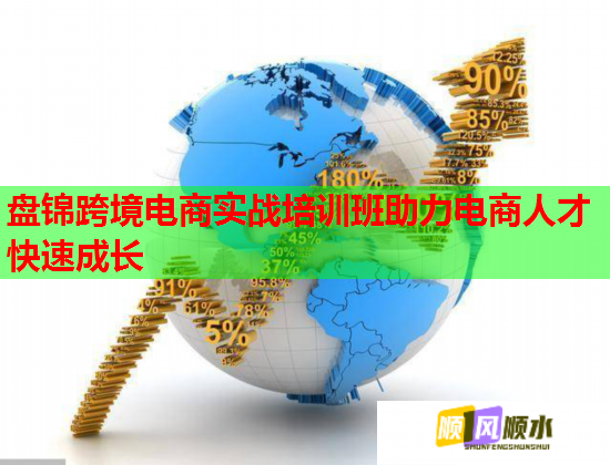 盤錦跨境電商實(shí)戰(zhàn)培訓(xùn)班助力電商人才快速成長