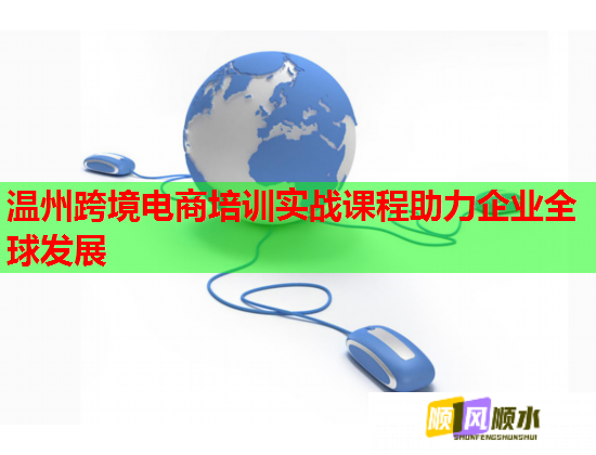 溫州跨境電商培訓(xùn)實戰(zhàn)課程助力企業(yè)全球發(fā)展 溫州跨境電商培訓(xùn)實戰(zhàn)課程助力企業(yè)全球發(fā)展