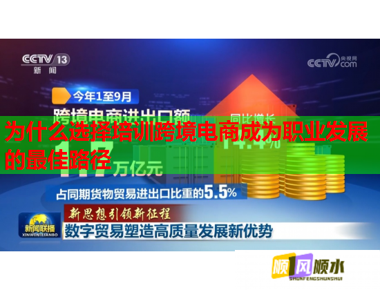 為什么選擇培訓(xùn)跨境電商成為職業(yè)發(fā)展的最佳路徑 為什么選擇培訓(xùn)跨境電商成為職業(yè)發(fā)展的最佳路徑