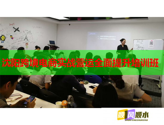 沈陽跨境電商實戰(zhàn)營運全面提升培訓班 沈陽跨境電商實戰(zhàn)營運全面提升培訓班