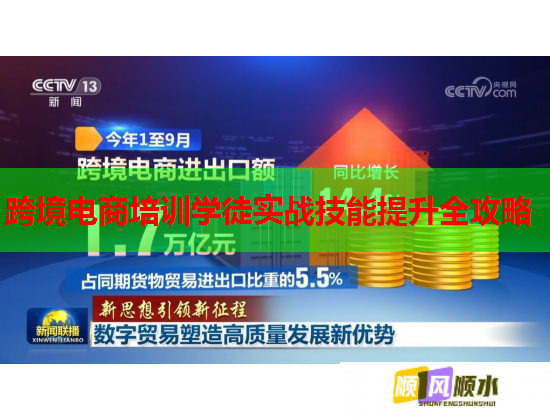 跨境電商培訓(xùn)學(xué)徒實(shí)戰(zhàn)技能提升全攻略 跨境電商培訓(xùn)學(xué)徒實(shí)戰(zhàn)技能提升全攻略