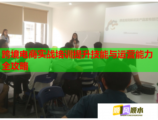 跨境電商實戰(zhàn)培訓(xùn)提升技能與運營能力全攻略 跨境電商實戰(zhàn)培訓(xùn)提升技能與運營能力全攻略