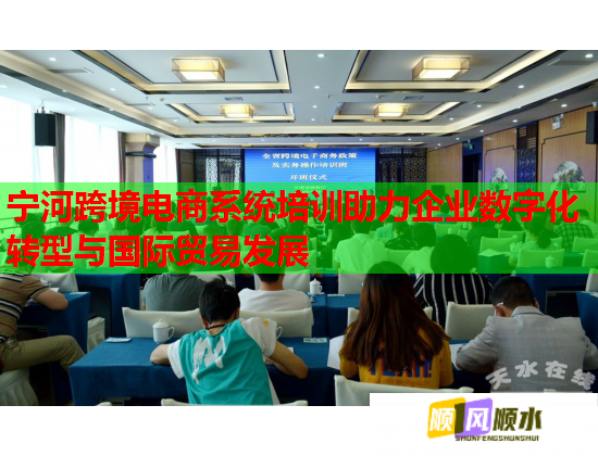 寧河跨境電商系統(tǒng)培訓助力企業(yè)數(shù)字化轉型與國際貿易發(fā)展 寧河跨境電商系統(tǒng)培訓助力企業(yè)數(shù)字化轉型與國際貿易發(fā)展