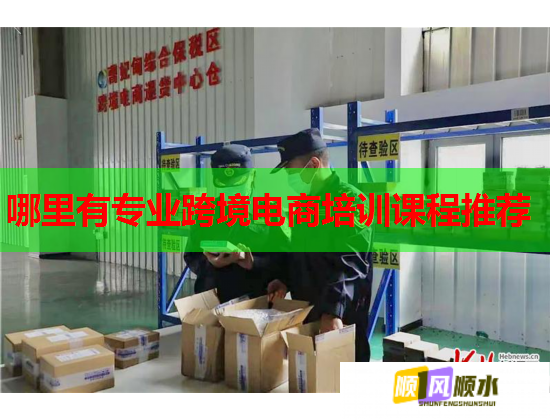 哪里有專(zhuān)業(yè)跨境電商培訓(xùn)課程推薦 哪里有專(zhuān)業(yè)跨境電商培訓(xùn)課程推薦